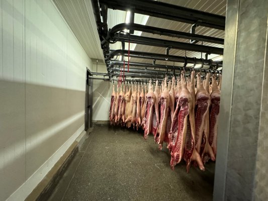 Effizientere Produktionsprozesse mit unseren IP69K-Edelstahlterminals - Effiziente Produktionsprozesse mit IP69K-Edelstahlterminals | Swaags GmbH