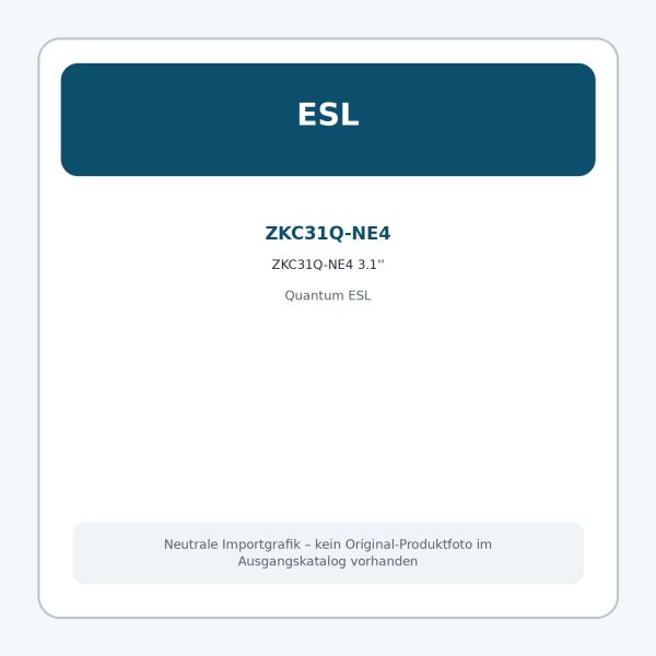 ZKC31Q-NE4 3.1