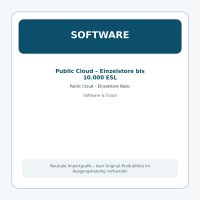 Public Cloud – Einzelstore Basic