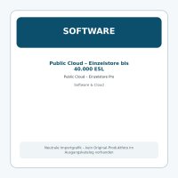 Public Cloud – Einzelstore Pro