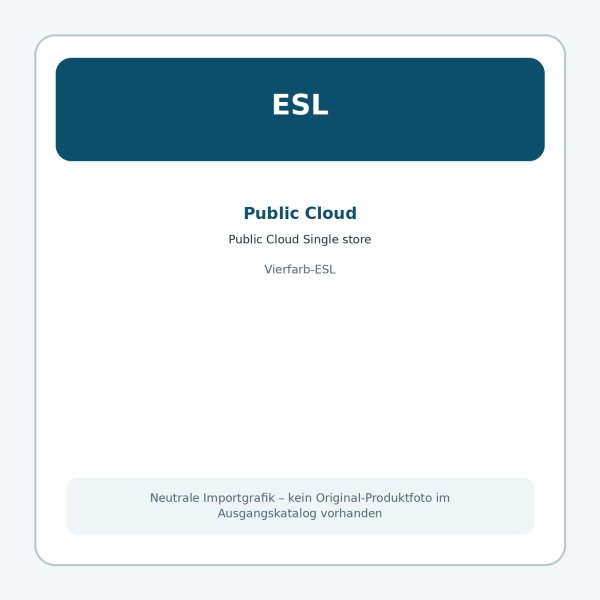 Public Cloud Single store