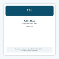 Public Cloud Single store